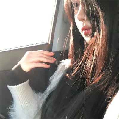 红犬历险记 海报